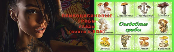 a pvp Алзамай
