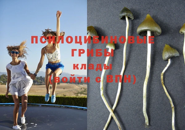 экстази Медвежьегорск