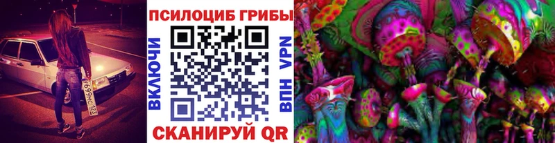 Псилоцибиновые грибы MAGIC MUSHROOMS  цены наркотик  Апрелевка 